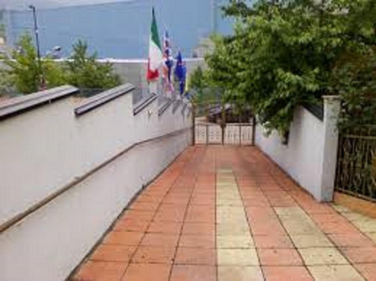 Apartman Lazy President